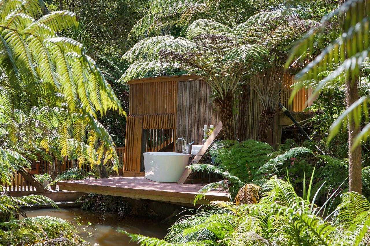 Vila Warblers Retreat Auckland Exteriér fotografie